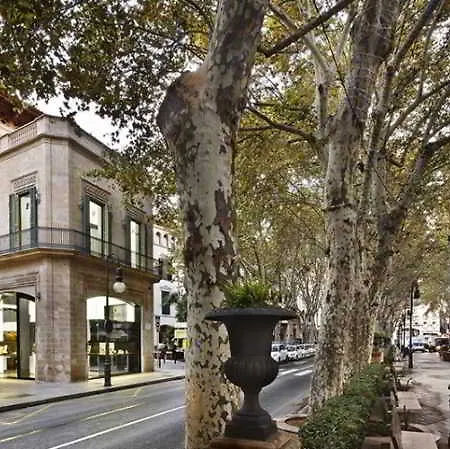 Hotel Alomar (adults Only) 5*